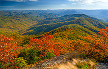 Improving the appalachia rainforest